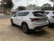 Hyundai Santa Fe 2021 - Hyundai Santa Fe 2021-mẫu xe bán chạy nhất phân khúc D