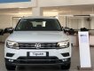 Volkswagen Tiguan Luxury 2019 - Cần bán xe Volkswagen Tiguan Luxury đời 2019, màu trắng, nhập khẩu