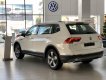 Volkswagen Tiguan Luxury 2019 - Cần bán xe Volkswagen Tiguan Luxury đời 2019, màu trắng, nhập khẩu