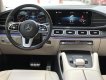Mercedes-Benz GLS 450 2019 - GLS450 sản xuất 2019 đăng ký lần đầu T4/2020  