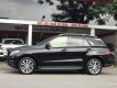 Mercedes-Benz GLE-Class 400 2016 - GLE400 2016 màu đen 