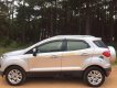 Ford EcoSport 2017 - Bán ô tô Ford EcoSport sản xuất năm 2017, màu bạc xe gia đình