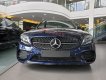 Mercedes-Benz C300   2021 - Cần bán Mercedes sản xuất năm 2021, màu xanh lam