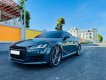 Audi TT 2016 - Cần bán gấp Audi TT năm 2016, màu xám, xe nhập còn mới