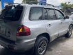 Hyundai Santa Fe   Gold   2004 - Bán Hyundai Santa Fe Gold đời 2004, màu bạc, xe nhập số tự động