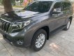 Toyota Prado   TXL 2.7L   2016 - Bán ô tô Toyota Prado TXL 2.7L năm sản xuất 2016, xe nhập còn mới