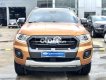 Ford Ranger  Wildtrak  2018 - Bán ô tô Ford Ranger Wildtrak sản xuất năm 2018, xe nhập