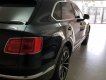 Bentley Bentayga  First Edition  2016 - Bán ô tô Bentley Bentayga First Edition 2016, màu đen, xe nhập