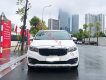 Kia Sedona 2016 - Bán xe Kia Sedona năm 2016, màu trắng, 659 triệu