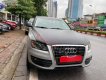 Audi Q5   2.0 AT   2010 - Bán Audi Q5 2.0 AT 2010, màu bạc, xe nhập