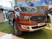 Ford Everest 2021 - Ford Everest 2021, đại lý giá tốt khu vực miền Bắc, hỗ trợ vay bank 80%, ưu đãi mùa dịch cực tốt