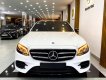 Mercedes-Benz E300 2021 - Cần bán gấp Mercedes E300 sản xuất 2021, màu trắng, xe nhập chính chủ