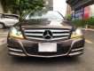 Mercedes-Benz C250 2014 - Bán xe Mercedes C250 năm 2014, màu nâu ít sử dụng