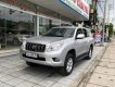 Toyota Prado 2009 - Bán Toyota Prado sản xuất năm 2009, màu bạc, nhập khẩu còn mới