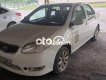 Toyota Vios   2005 - Bán Toyota Vios đời 2005, màu trắng chính chủ