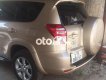 Toyota RAV4 2008 - Xe Toyota RAV4 năm 2008, nhập khẩu, giá chỉ 495 triệu