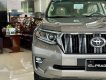 Toyota Prado   VX 2.7L 2021 - Bán xe Toyota Prado VX 2.7L sản xuất 2021, nhập khẩu nguyên chiếc