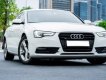 Audi A5    2016 - Bán xe Audi A5 sản xuất năm 2016, màu trắng 