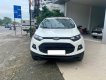 Ford EcoSport 2016 - Bán Ford EcoSport năm 2016, màu trắng còn mới