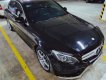 Mercedes-Benz C300 2015 - Cần bán Mercedes C300 năm sản xuất 2015, màu đen, nhập khẩu