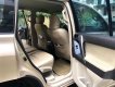 Toyota Land Cruiser 2009 - Bán ô tô Toyota Land Cruiser năm 2009, màu vàng, xe nhập giá cạnh tranh