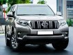 Toyota Prado   VX 2.7L  2020 - Bán xe Toyota Prado VX 2.7L đời 2020, màu xám, nhập khẩu chính chủ