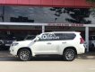 Toyota Prado 2018 - Bán xe Toyota Prado năm sản xuất 2018, nhập khẩu nguyên chiếc