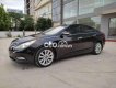 Hyundai Sonata 2010 - Bán Hyundai Sonata đời 2010, màu đen, nhập khẩu, giá tốt