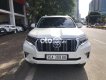 Toyota Prado 2018 - Bán xe Toyota Prado năm sản xuất 2018, nhập khẩu nguyên chiếc