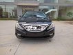 Hyundai Sonata 2010 - Bán Hyundai Sonata đời 2010, màu đen, nhập khẩu, giá tốt
