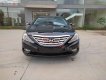 Hyundai Sonata   2.0 AT  2010 - Bán xe Hyundai Sonata 2.0 AT năm sản xuất 2010, màu đen, nhập khẩu
