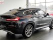 BMW X4   X-Line 2019 - Bán BMW X4 X-Line 2019, màu xám, nhập khẩu