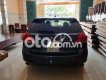 Toyota Venza 2009 - Cần bán Toyota Venza năm sản xuất 2009, màu xám, nhập khẩu 