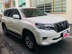 Toyota Land Cruiser Prado   VX 2.7L  2021 - Cần bán lại xe Toyota Land Cruiser Prado VX 2.7L 2021, màu trắng, nhập khẩu
