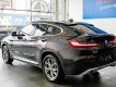 BMW X4   2019 - Bán xe BMW X4 đời 2019, màu xám, nhập khẩu nguyên chiếc