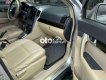 Chevrolet Captiva 2008 - Cần bán lại xe Chevrolet Captiva đời 2008, màu bạc, nhập khẩu