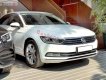 Volkswagen Passat   Blue Motion High   2019 - Cần bán xe Volkswagen Passat Blue Motion High năm 2019, màu trắng, nhập khẩu