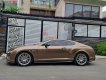 Bentley Continental 2017 - Bán Bentley Continental sản xuất 2017, màu nâu, xe nhập