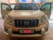 Toyota Prado   TXL 2.7L  2010 - Cần bán gấp Toyota Prado TXL 2.7L sản xuất 2010, màu vàng, xe nhập, giá 950tr