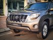 Toyota Prado  TXL 2017 - Bán xe Toyota Prado TXL sản xuất 2017, màu xám, xe nhập còn mới