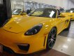 Porsche Boxster 2009 - Xe Porsche Boxster năm 2009, màu vàng, nhập khẩu