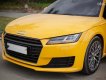 Audi TT 2016 - Bán ô tô Audi TT TFSI sản xuất 2016, màu vàng, nhập khẩu nguyên chiếc