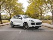 Porsche Cayenne 2017 - Cần bán Porsche Cayenne Platinum năm 2017 giá 4 tỷ 350tr