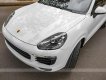 Porsche Cayenne 2017 - Cần bán Porsche Cayenne Platinum năm 2017 giá 4 tỷ 350tr
