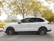 Porsche Cayenne 2017 - Cần bán Porsche Cayenne Platinum năm 2017 giá 4 tỷ 350tr