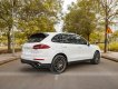 Porsche Cayenne 2017 - Cần bán Porsche Cayenne Platinum năm 2017 giá 4 tỷ 350tr