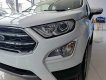 Ford EcoSport 2021 - Hỗ trợ 100% phí trước bạ, ưu đãi hấp dẫn trong tháng, xe sẵn giao ngay