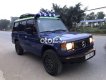 Hyundai Galloper  MT 1995 - Bán Hyundai Galloper MT năm 1995, màu xanh lam, nhập khẩu 