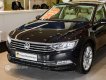 Volkswagen Passat 1.8 TSI Blue Motion 2021 - Cần bán gấp Volkswagen Passat 1.8 TSI Blue Motion năm 2021, màu đen, nhập khẩu