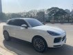 Porsche Cayenne 2020 - Porsche Cayenne 2020, odo 5.888km